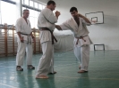 Karate 2011.szept